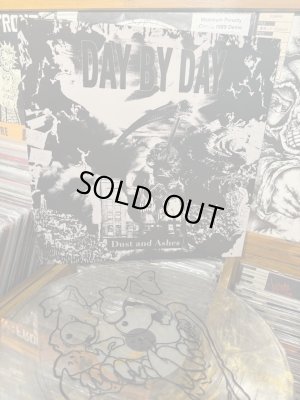画像3: DAY BY DAY - Dust And Ashes (Gold Nugget) [LP]