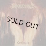 画像: BURDEN OF DESPAIR - Confutatis + 原罪神授 [CD]