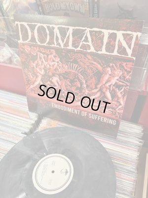 画像2: DOMAIN - Embodiment of Suffering (Grey With Black Swirl) [LP]