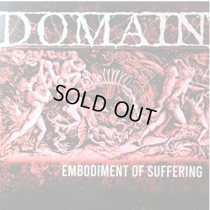 画像1: DOMAIN - Embodiment of Suffering (Grey With Black Swirl) [LP]