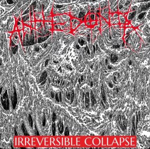 画像1: ANHEDONIA - Irreversible Collapse [CD]