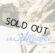 画像: THE ALLIANCE - Time Heals Nothing [CD]