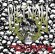 画像2: VIETNOM - Stricktly the Real /// Thru My Eyes (通常盤 / 限定盤) [CD]