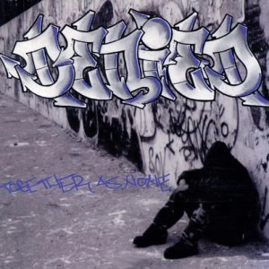 画像1: [数個限定！先行予約商品] DENIED - Together as None [CD]