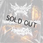 画像: SAWYER'S CLAN / THE DEVIL SAYS ARLEKINO - Varna Slamming Brutality Split [CD]
