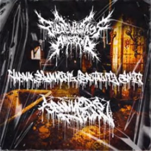 画像1: SAWYER'S CLAN / THE DEVIL SAYS ARLEKINO - Varna Slamming Brutality Split [CD]