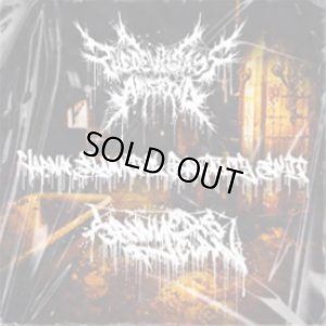 画像1: SAWYER'S CLAN / THE DEVIL SAYS ARLEKINO - Varna Slamming Brutality Split [CD]