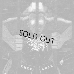 画像1: BEHIND BARS - Hate Crib [CD]