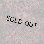 画像: BLAZING TOMB - Singles From The Tomb [EP]