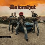 画像: DOWNSHOT - Endgame [CD]