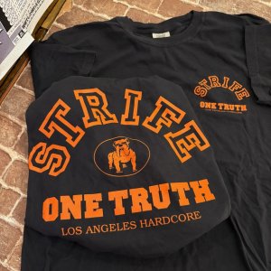 画像1: [Lサイズラス1] STRIFE - One Truth Tシャツ (黒) [Tシャツ]