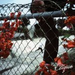 画像: CLIQUE - In Lives That Won't Last [LP]