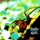 画像: SHADES APART - Seeing Things [CD]