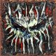 画像: SCARAB - Burn After Listening (Surge) [LP]