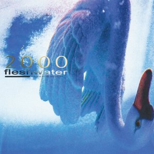 画像1: FLESHWATER - 2000: In Search Of The Endless Sky [CD]