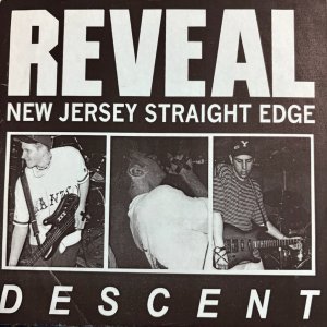 画像1: REVEAL - Descent (Numbered 70/100) [EP] (USED)