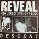 画像: REVEAL - Descent (Numbered 70/100) [EP] (USED)
