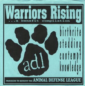 画像1: VARIOUS ARTISTS - Warriors Rising..A Benefit Compilation (Blue Cover) [EP] (USED)
