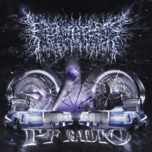 画像1: PEELING FLESH - PF Radio [CD]