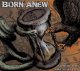 画像: BORN ANEW - No More Days Like Yesterday