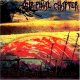 画像: OUR FINAL CHAPTER - From Hell To Higher Plains [CD]