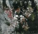 画像: ENDSTAND - Burning Bridges [CD]